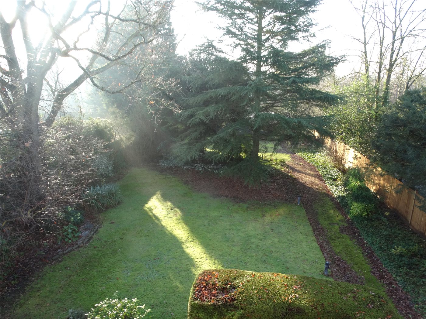 Communal Gardens
